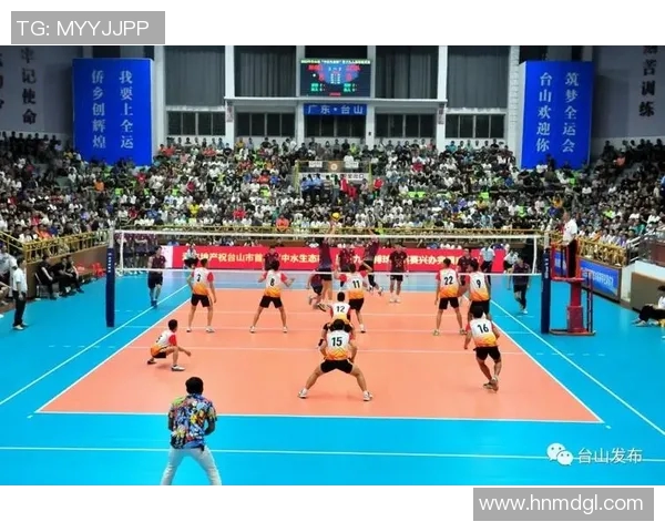 广州排球队盯防策略分析与战术解读探讨排球热点